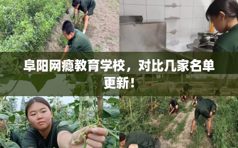 阜阳网瘾教育学校，对比几家名单更新！