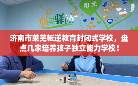济南市莱芜叛逆教育封闭式学校，盘点几家培养孩子独立能力学校！