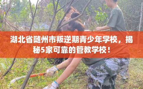 湖北省随州市叛逆期青少年学校，揭秘5家可靠的管教学校！
