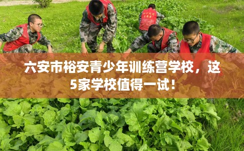 六安市裕安青少年训练营学校,这5家学校值得一试! 六安市裕安青少年训练营学校,这5家学校值得一试!