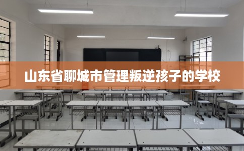 山东省聊城市管理叛逆孩子的学校