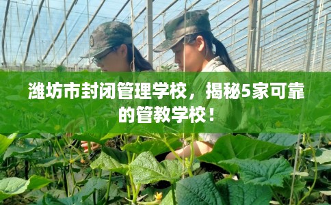 潍坊市封闭管理学校，揭秘5家可靠的管教学校！