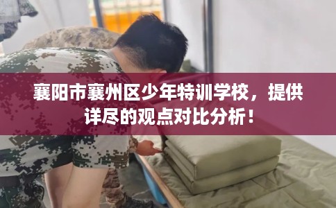 襄阳市襄州区少年特训学校，提供详尽的观点对比分析！