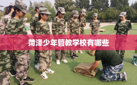 菏泽少年管教学校有哪些 菏泽少年管教学校有哪些
