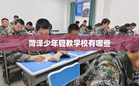 菏泽少年管教学校有哪些 菏泽少年管教学校有哪些