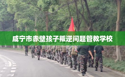 咸宁市赤壁孩子叛逆问题管教学校