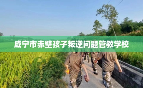 咸宁市赤壁孩子叛逆问题管教学校