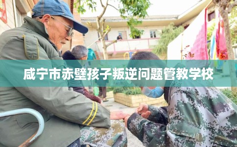 咸宁市赤壁孩子叛逆问题管教学校