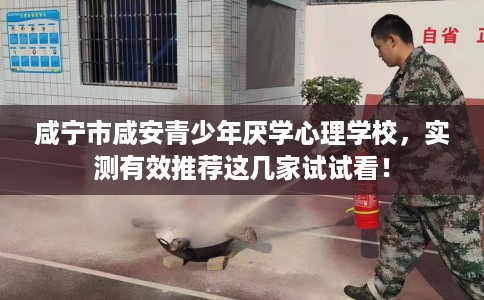 咸宁市咸安青少年厌学心理学校，实测有效推荐这几家试试看！