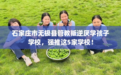 石家庄市无极县管教叛逆厌学孩子学校,强推这5家学校! 石家庄市无极县管教叛逆厌学孩子学校,强推这5家学校!