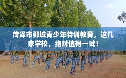 菏泽市鄄城青少年特训教育,这几家学校,绝对值得一试! 菏泽市鄄城青少年特训教育,这几家学校,绝对值得一试!