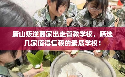 唐山叛逆离家出走管教学校，筛选几家值得信赖的素质学校！