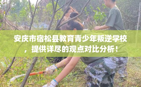 安庆市宿松县教育青少年叛逆学校，提供详尽的观点对比分析！