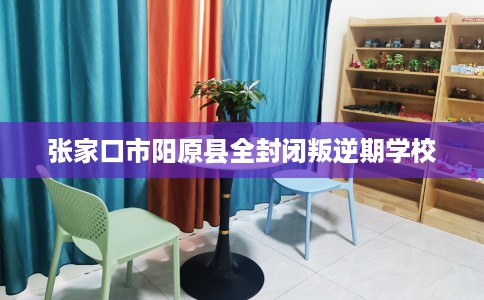 张家口市阳原县全封闭叛逆期学校