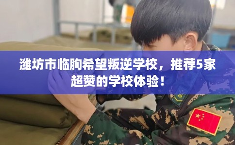 潍坊市临朐希望叛逆学校，推荐5家超赞的学校体验！