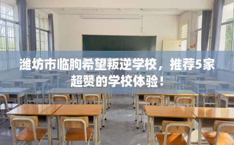 潍坊市临朐希望叛逆学校，推荐5家超赞的学校体验！