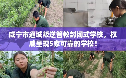 咸宁市通城叛逆管教封闭式学校,权威呈现5家可靠的学校! 咸宁市通城叛逆管教封闭式学校,权威呈现5家可靠的学校!