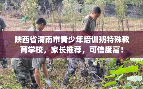 陕西省渭南市青少年培训班特殊教育学校，家长推荐，可信度高！
