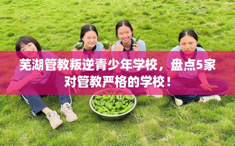芜湖管教叛逆青少年学校，盘点5家对管教严格的学校！
