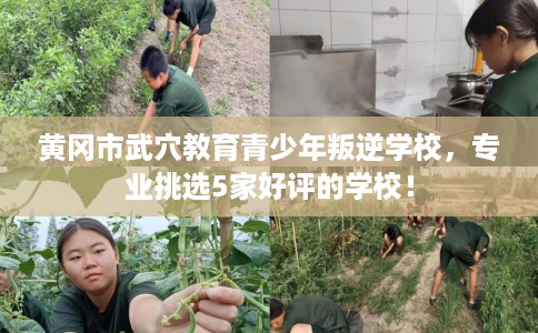 黄冈市武穴教育青少年叛逆学校，专业挑选5家好评的学校！