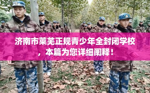 济南市莱芜正规青少年全封闭学校，本篇为您详细阐释！