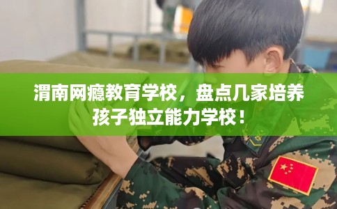 渭南网瘾教育学校，盘点几家培养孩子独立能力学校！