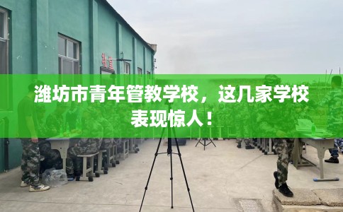 潍坊市青年管教学校，这几家学校表现惊人！