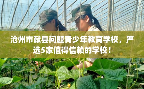 沧州市献县问题青少年教育学校，严选5家值得信赖的学校！