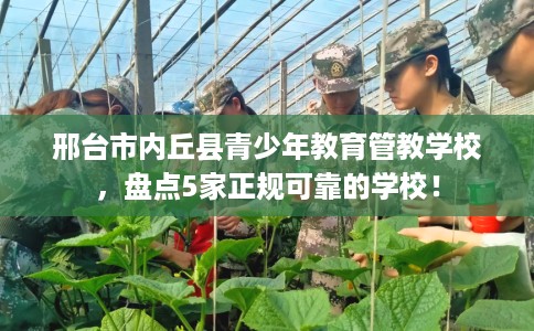 邢台市内丘县青少年教育管教学校，盘点5家正规可靠的学校！