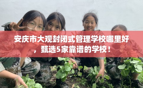 安庆市大观封闭式管理学校哪里好，甄选5家靠谱的学校！