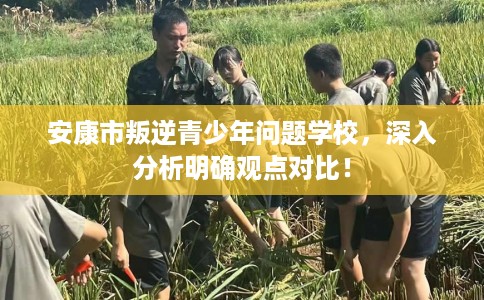 安康市叛逆青少年问题学校，深入分析明确观点对比！