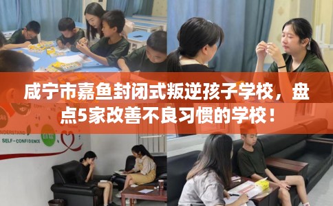 咸宁市嘉鱼封闭式叛逆孩子学校，盘点5家改善不良习惯的学校！