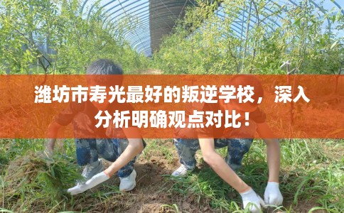 潍坊市寿光最好的叛逆学校，深入分析明确观点对比！