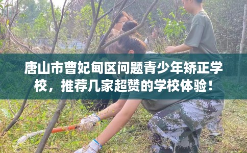 唐山市曹妃甸区问题青少年矫正学校，推荐几家超赞的学校体验！