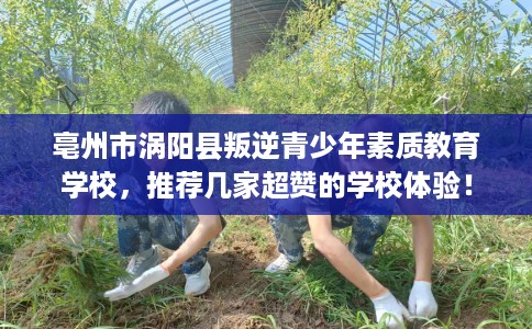 亳州市涡阳县叛逆青少年素质教育学校，推荐几家超赞的学校体验！