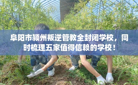 阜阳市颍州叛逆管教全封闭学校，同时梳理五家值得信赖的学校！