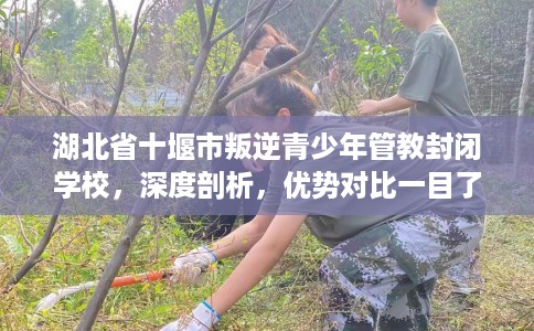 湖北省十堰市叛逆青少年管教封闭学校，深度剖析，优势对比一目了然！