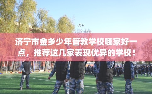 济宁市金乡少年管教学校哪家好一点，推荐这几家表现优异的学校！