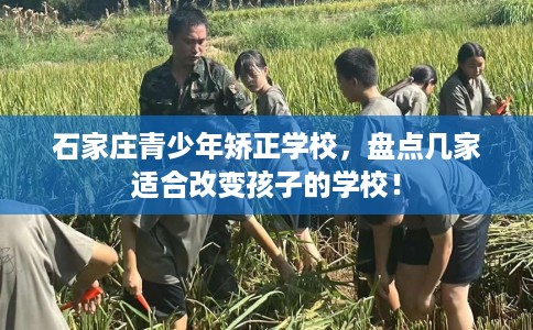 石家庄青少年矫正学校，盘点几家适合改变孩子的学校！