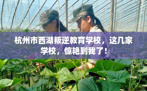 杭州市西湖叛逆教育学校，这几家学校，惊艳到我了！