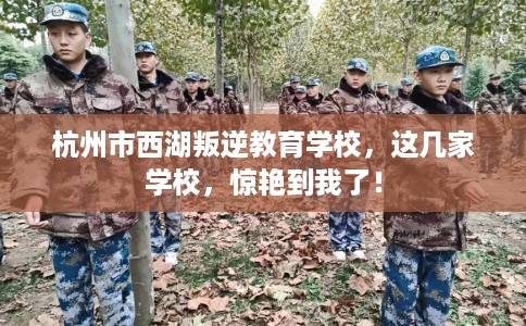 杭州市西湖叛逆教育学校，这几家学校，惊艳到我了！