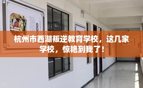 杭州市西湖叛逆教育学校，这几家学校，惊艳到我了！