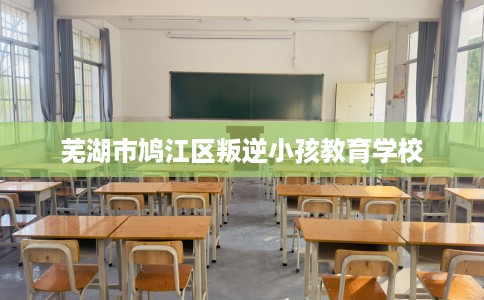 芜湖市鸠江区叛逆小孩教育学校