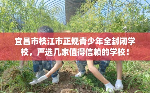 宜昌市枝江市正规青少年全封闭学校，严选几家值得信赖的学校！
