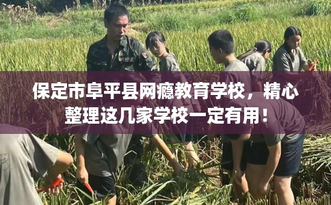 保定市阜平县网瘾教育学校，精心整理这几家学校一定有用！