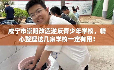 咸宁市崇阳改造逆反青少年学校，精心整理这几家学校一定有用！