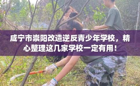 咸宁市崇阳改造逆反青少年学校，精心整理这几家学校一定有用！