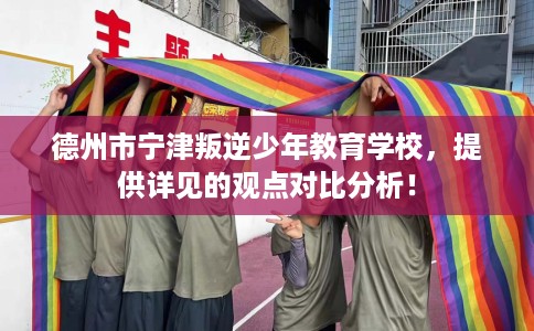 德州市宁津叛逆少年教育学校，提供详见的观点对比分析！