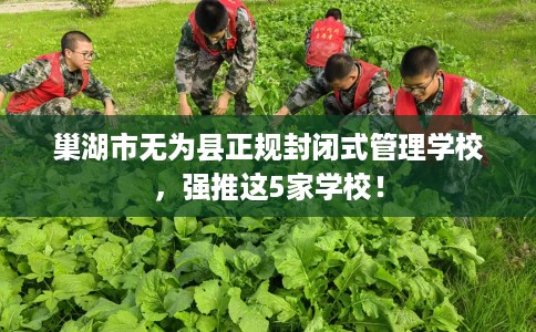 巢湖市无为县正规封闭式管理学校，强推这5家学校！