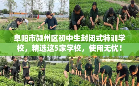 阜阳市颍州区初中生封闭式特训学校，精选这5家学校，使用无忧！